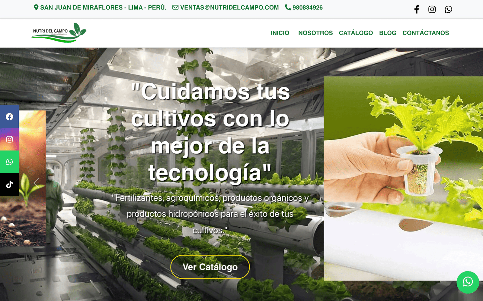 Higiene y Asepsia, P�gina Web y Cat�logo Digital